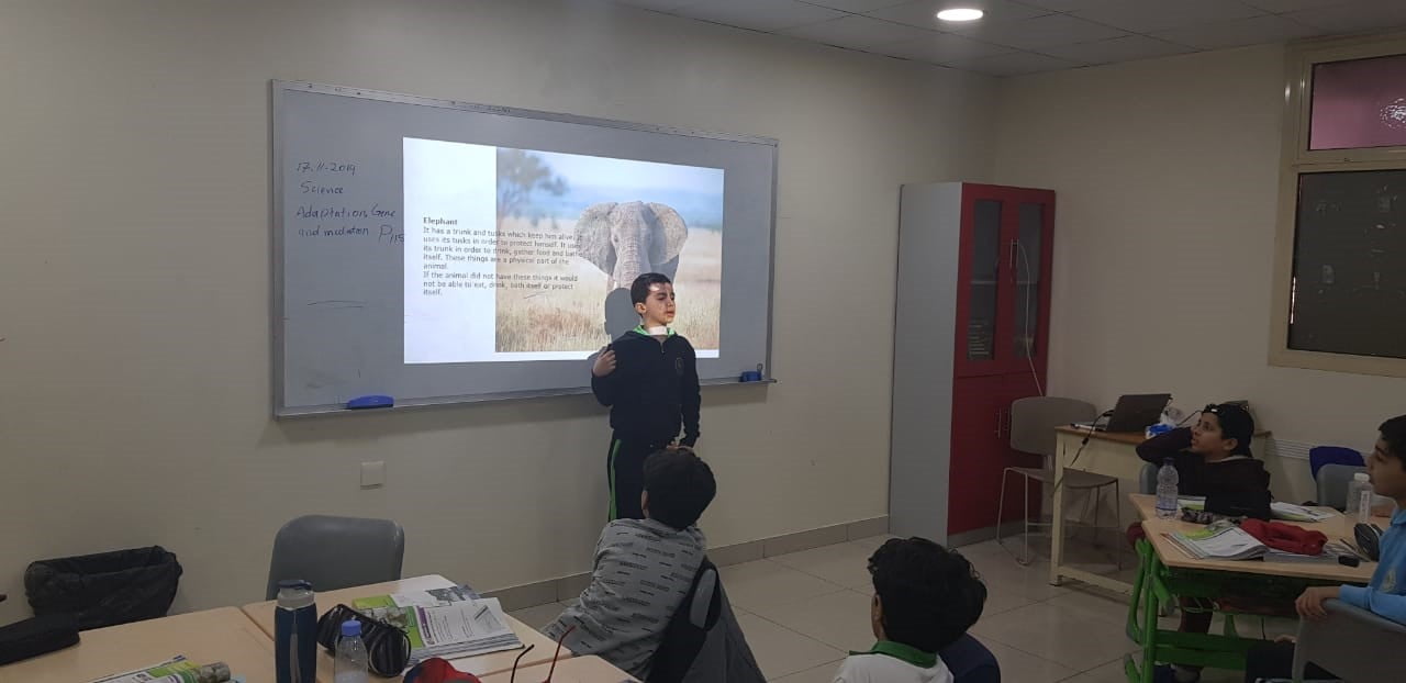 مدارس أضواء الهداية - العروض التقديمية